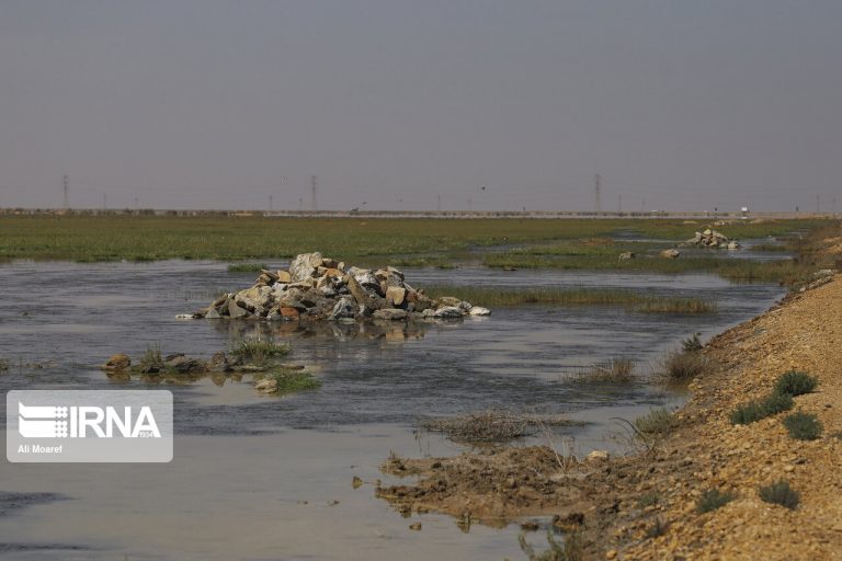 آب آلوده؛ مهمترین عامل شیوع بیماریهای عفونی