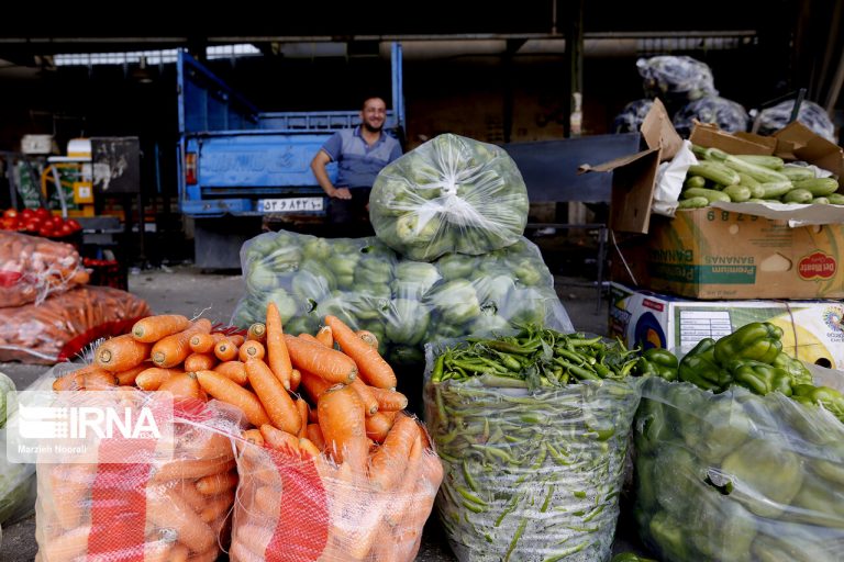 بروز حمله مغزی در پی مصرف سبزی و صیفیجات جنبه علمی ندارد