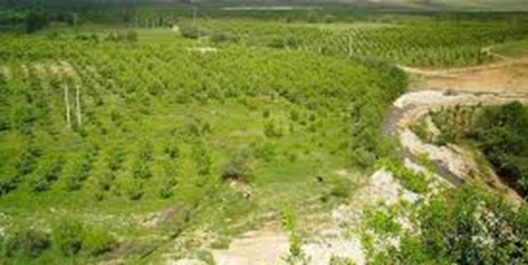 توسعه اقتصادی از شهرها تا روستاهای کهگیلویه و بویراحمد/ کاکان دهستان اقتصادی میشود