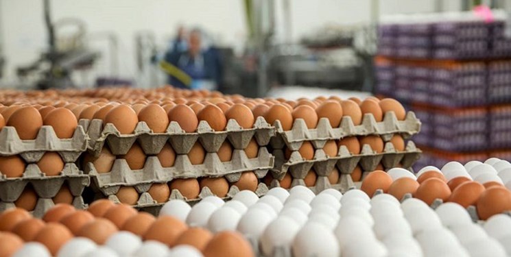 تولید تخم‌مرغ در استان اردبیل افزایش می‌یابد