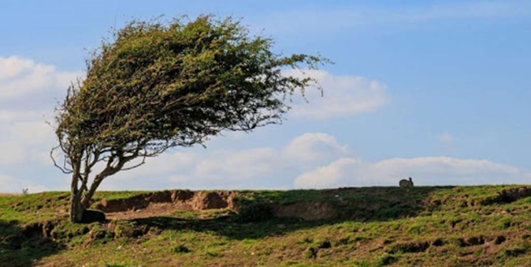 وزش تندباد در اردبیل/ آخر هفته سرد و پربارش خواهد بود