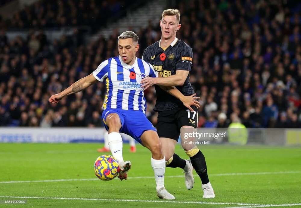 گل خشخاش روی سینه بازیکنان لیگ انگلیس چه میکند؟/عکس