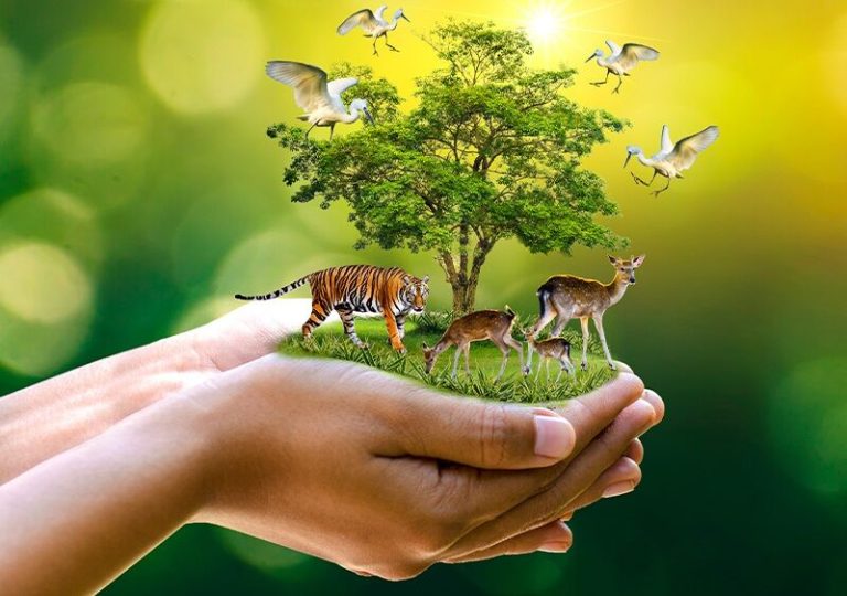 آغاز بهکار دبیرخانه همایش تنوع زیستی دیرینه