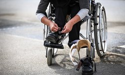 استخدام ۴ معلول در دستگاههای دولتی استان ایلام