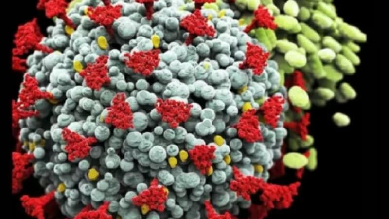 ۱۷ آذرماه و مهمترین اخبار کرونایی استانها