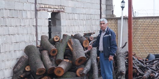 با قاچاقچیان چوب در کردستان برخورد قاطع شود