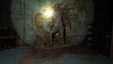 آیا قارچ‌های سریال The Last of Us واقعی هستند و می‌توانند روزی انسان‌ها را آلوده کنند؟