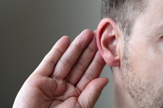 الگوی حیرت‌انگیز سلول‌های گوش داخلی که شنیدن را ممکن می‌کند / عکس