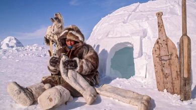 انسان برای سازگاری با سرما تکامل نیافته است؛ پس چگونه در اقلیم‌های شمالی ساکن شدیم؟