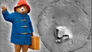 در مریخ خرس پیدا شد/ پدیده‌ای شگفت‌انگیز در سیاره سرخ / عکس