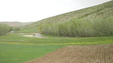 رفع تصرف۱۲۱ هکتار از اراضی ملی مازندران