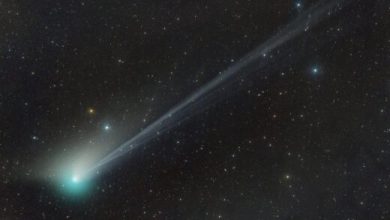 عبور ستاره دنباله‌دار نادر از کنار زمین/ فرصتی که دیگر تکرار نخواهد شد