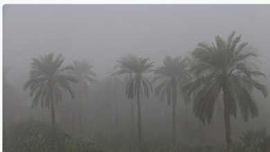 هشدار وقوع پدیده مه غلیظ برای پنج شنبه و جمعه خوزستان