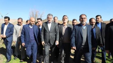 وزیر جهادکشاورزی از باغات پلدختر بازدید کرد