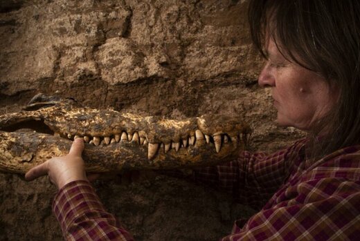 پیدا شدن مومیایی موجودی ترسناک در مقبرهای قدیمی / عکس