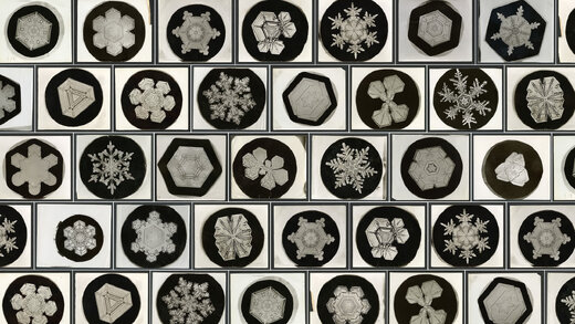 کشف باورنکردنی یک کشاورز ساده / معجزه کریستال‌های برف / عکس