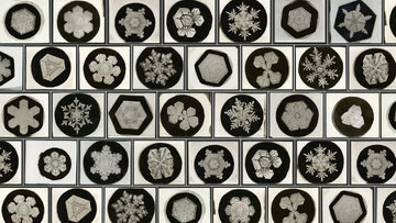 snow-flake.jpg