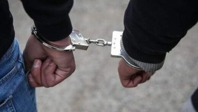 ۱۸ اخلالگر نظم عمومی در هرمزگان دستگیر شدند