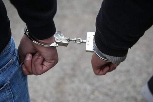 ۱۸ اخلالگر نظم عمومی در هرمزگان دستگیر شدند