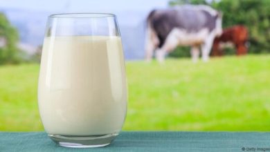 آیا شیر بادام جایگزین مناسبی برای شیر گاو است؟/ فواید و مضرات شیر بادام
