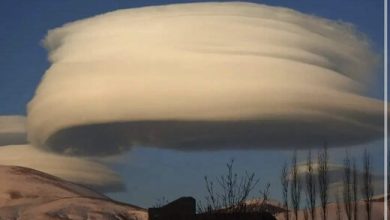 «ابری که ۵۰ سال در آسمان بود» یا «ابر قارچی که بمب اتم ایجاد می‌کند»؟