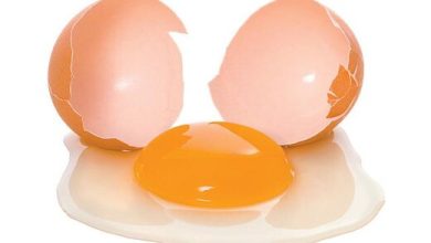 استفاده از مواد شیمیایی برای پررنگ کردن زرده تخم مرغ؟