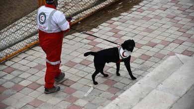 اعزام نیروهای هلال احمر آذربایجان‌غربی به مناطق زلزله‌زده ترکیه و سوریه
