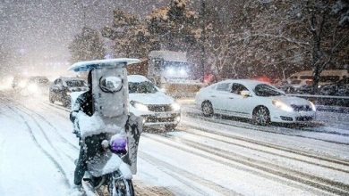 تهران اسیر بارش «برف وحشی» شده است؟