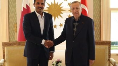 دیدار امیر قطر با اردوغان در استانبول
