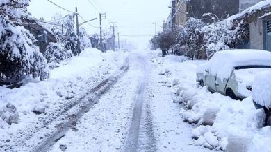 سوادکوه و ایزدشهر رکورددار بیشترین بارش برف و باران/ بازگشایی کندوان