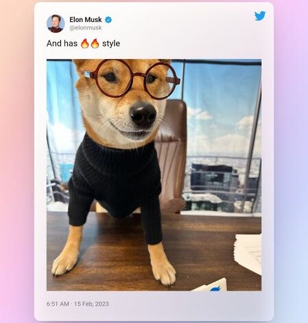 عکس | سگ ایلان ماسک مدیرعامل توییتر شد