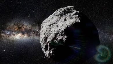 پیدا شدن یک سیارک عجیب و غریب در آسمان / عکس