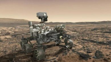 چرا کشف حیات در مریخ غیرممکن است؟