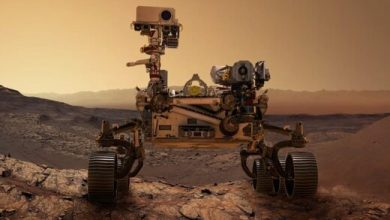 کشف بزرگ و تازه دانشمندان در مریخ / نشانی از حیات باستانی در سیاره سرخ