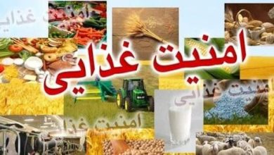 اجرای طرح امنیت غذایی  شهید ساجدی دراستان چهارمحال وبختیاری