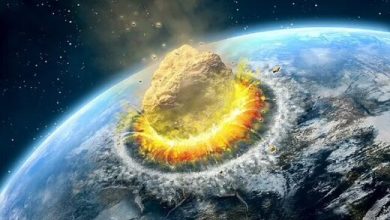 بقای بشریت به خطر افتاد؛ زمین محل گذار سیارک‌ها!