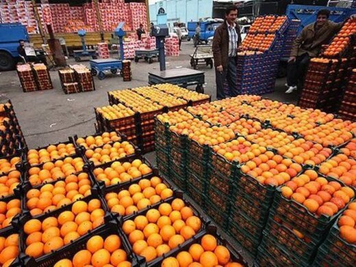 جایگاه دوم کشوری استان چهارمحال و بختیاری در تامین میوه تنظیم بازار شب عید