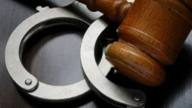 حفاران غیرمجاز میراث فرهنگی در گرمسار به ۳ سال حبس محکوم شدند