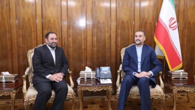 دیدار سفیر ایران با امیرعبداللهیان قبل از عزیمت به سوریه