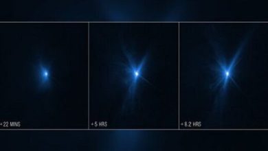 ردیابی سیارکی که با شلیک ناسا از مسیر خود منحرف شد / عکس