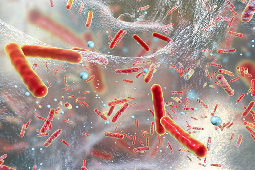 عکس | درمان یک سرطان خطرناک با مهندسی معکوس این باکتری !