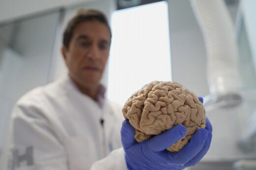 عکس| شایعه وحشتناکی که حقیقت داشت؛ ۱۰هزار مغز انسان در زیرزمینی در دانمارک
