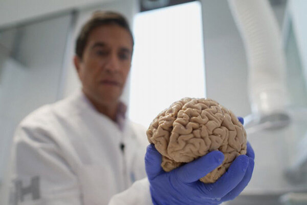 عکس| شایع وحشتناکی که حقیقت داشت؛ ۱۰هزار مغز انسان در زیرزمینی در دانمارک