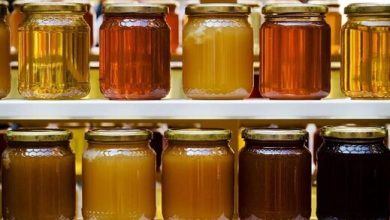 نهاد اروپایی: نیمی از عسل‌های وارداتی به اروپا تقلبی هستند؛ این محصولات از کدام کشورها بودند؟