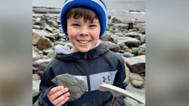 کشف شگفت انگیز پسر بچه ۹ ساله در ساحل / عکس