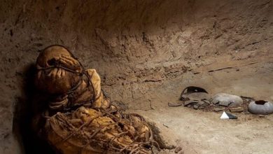 کشف مومیایی مرموز ۱۲۰۰ ساله/ عکس