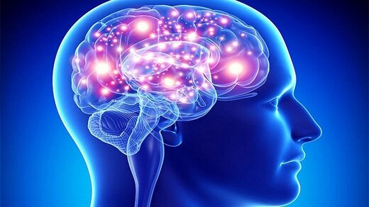 آیا مغز میتواند خود را ترمیم کند؟