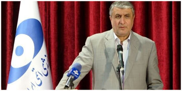 اسلامی خبر داد: بازگشت دوباره نیروگاه بوشهر به مدار تولید تا پایان اردیبهشت