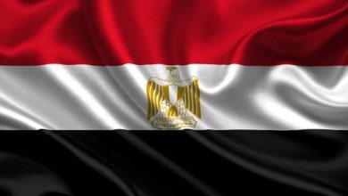 اظهارات وزیر خارجه دولت مستعفی یمن باعث بحران با مصر شد