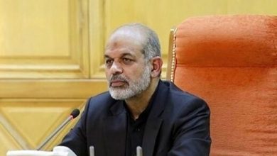 ببینید | واکنش وزیر کشور به خبر حمله ریزپرنده به تاسیسات اصفهان